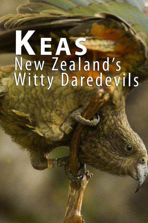 Keas - New Zealand's Witty Daredevils 2015 official movie poster