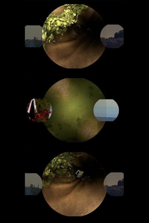 A Very Long Gif 2022 official movie poster