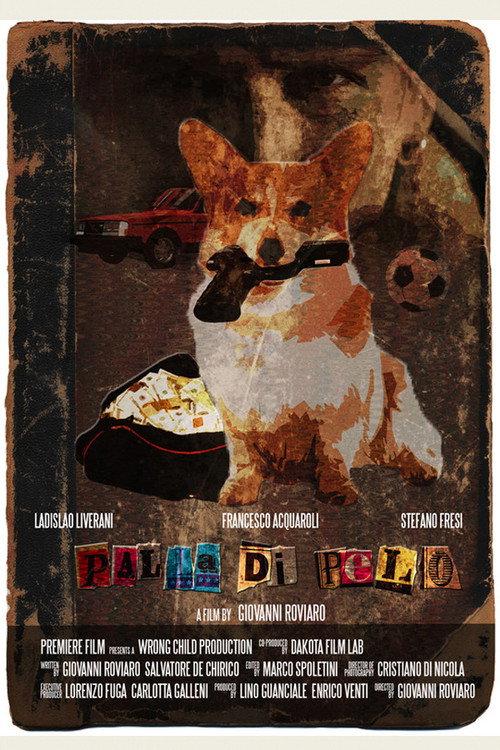 Palla di pelo 2021 official movie poster