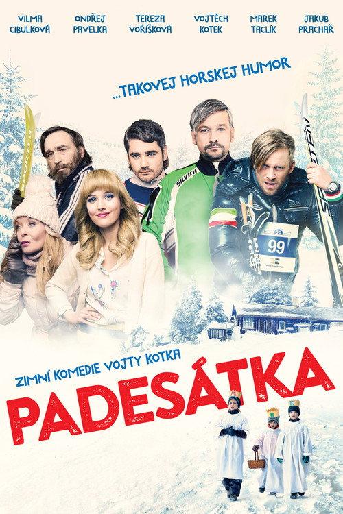 Chasing Fifty 2015 official movie poster