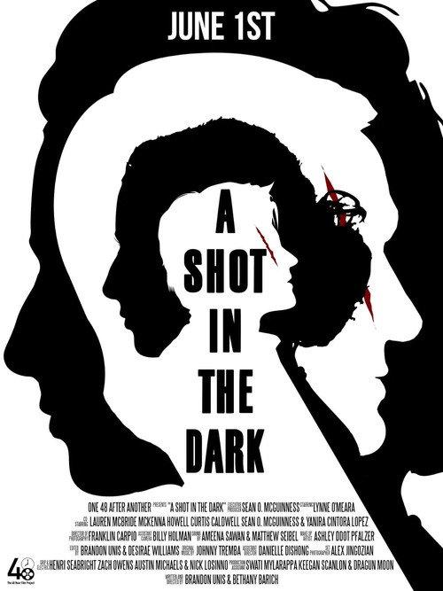 A Shot in the Dark 2026 official movie poster