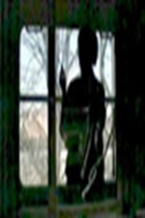 5 track 5 xfer 2009 official movie poster