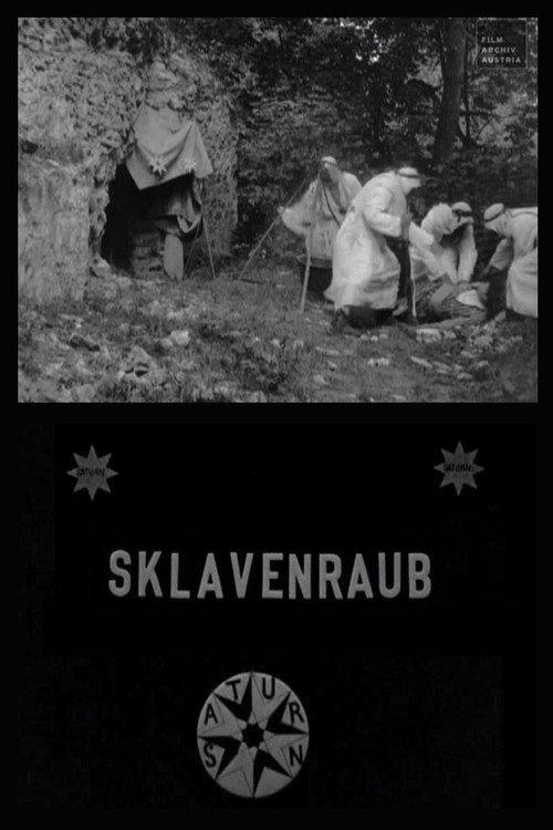 The Abduction of the Slave Women 1907 official movie poster