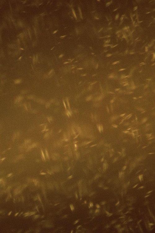 A Heap of Broken Images 2021 official movie poster
