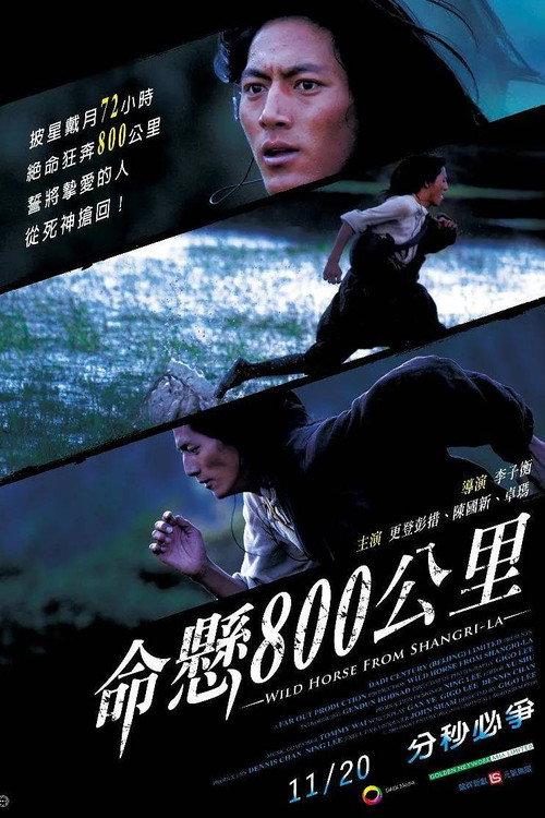 Wild Horse from Shangri-La 2009 official movie poster