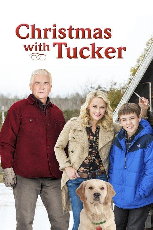 Christmas with Tucker 2013 official movie poster