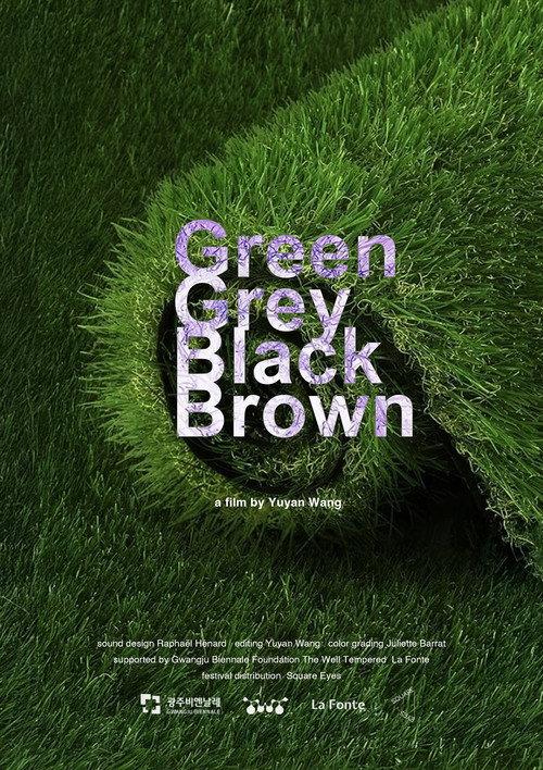 Green Grey Black Brown 2024 official movie poster