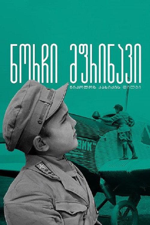 Gogi - The Young Pilot 1929 official movie poster