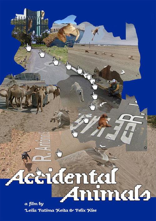 Accidental Animals 2024 official movie poster