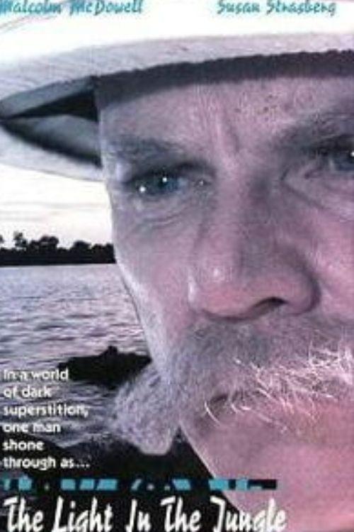 Schweitzer 1990 official movie poster