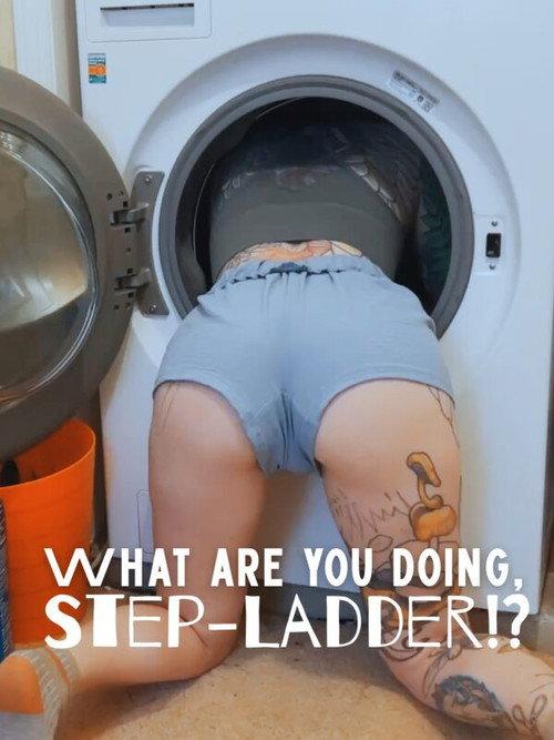 What are you DOING, Step-Ladder!? 2025 official movie poster