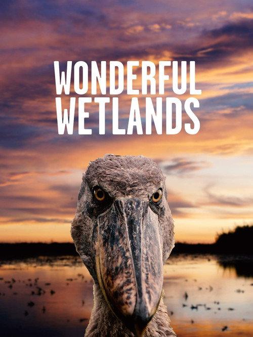 Wonderful Wetlands 2020 official movie poster