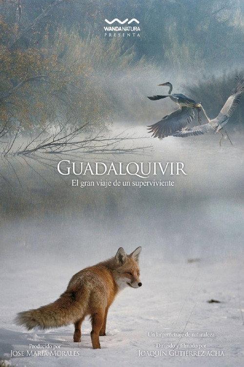 Guadalquivir 2013 official movie poster