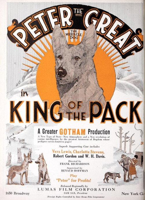 King of the Pack 1926 official movie poster