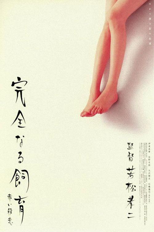 Perfect Education 6 2004 official movie poster