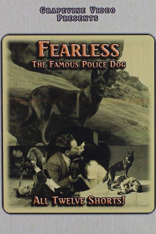 The Thief Trapper 1927 official movie poster
