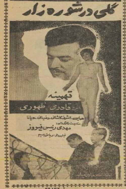 A Flower in Wasteland 1961 official movie poster