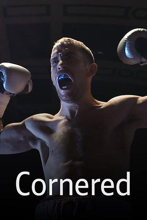 Cornered 2013 official movie poster