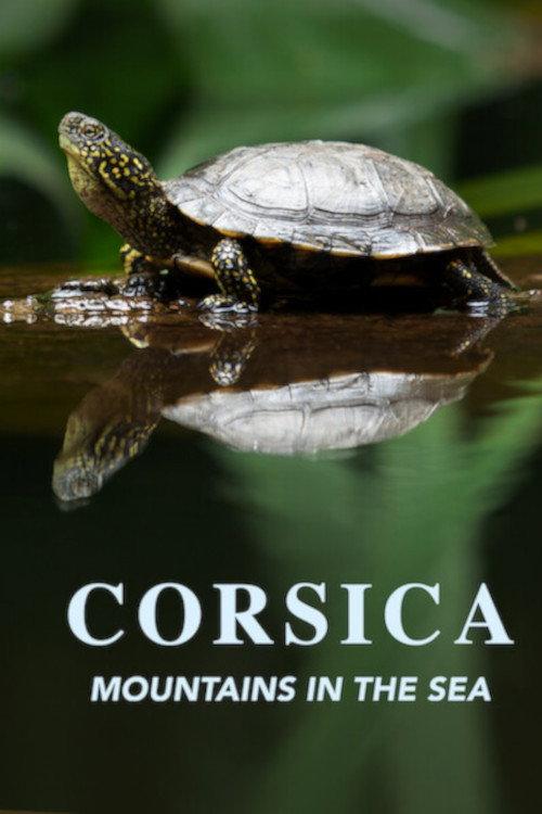 Corsica: Mountains in the Sea 2019 official movie poster