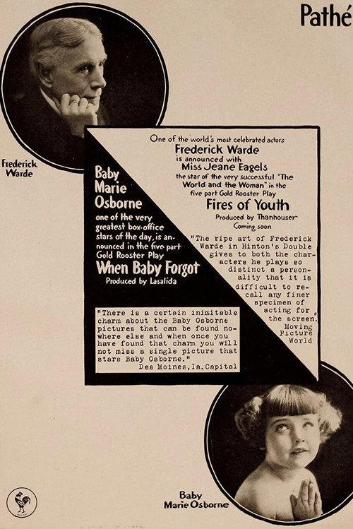 The Fires of Youth 1917 official movie poster