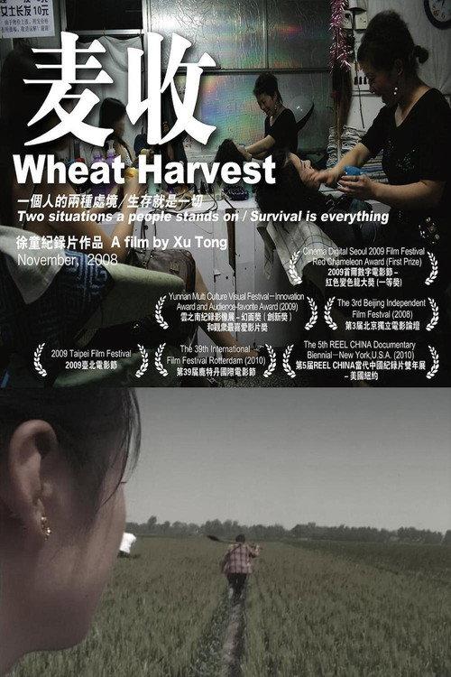 Wheat Harvest 2008 official movie poster