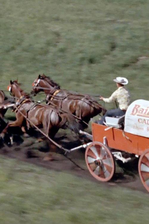 Chuckwagon 1964 official movie poster