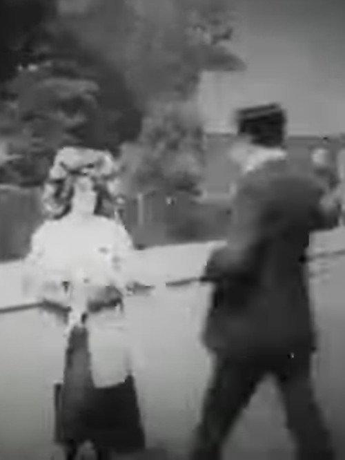 Lost, Stolen or Strayed 1905 official movie poster
