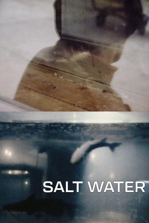 Salt Water 1986 official movie poster