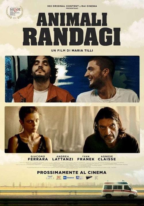 Animali randagi 2024 official movie poster