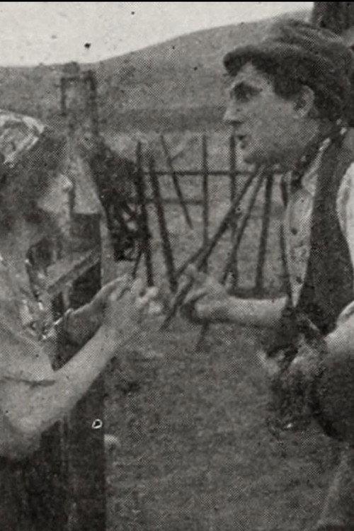 The Coming of Angelo 1913 official movie poster