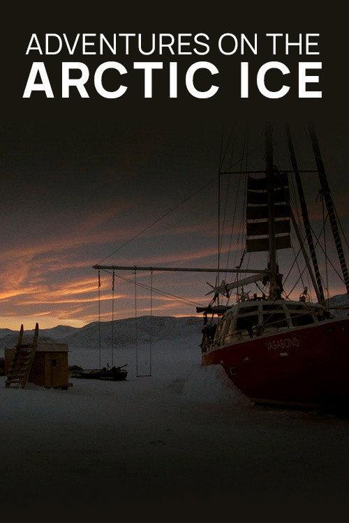 Adventures on the Arctic Ice 2016 official movie poster