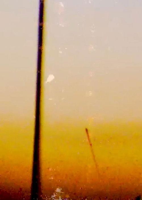 When a Flaming Stealth Banana Split The Sky 2025 official movie poster