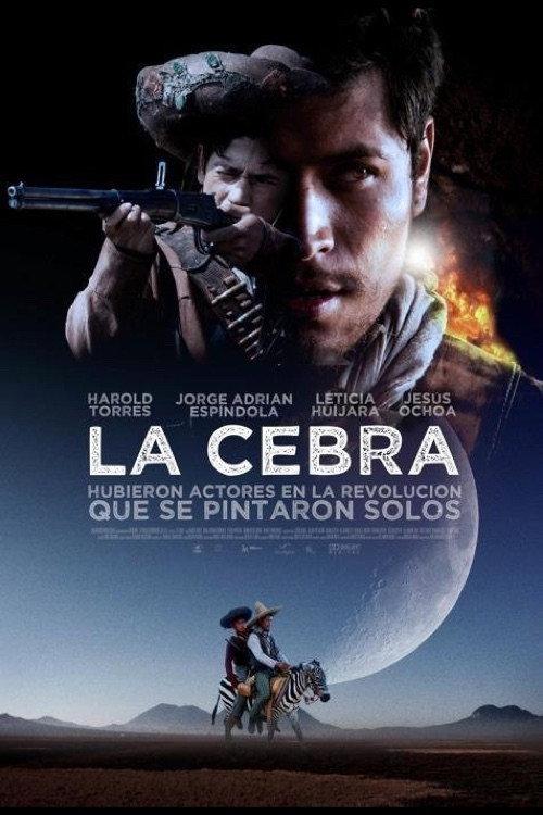 The Zebra 2011 official movie poster