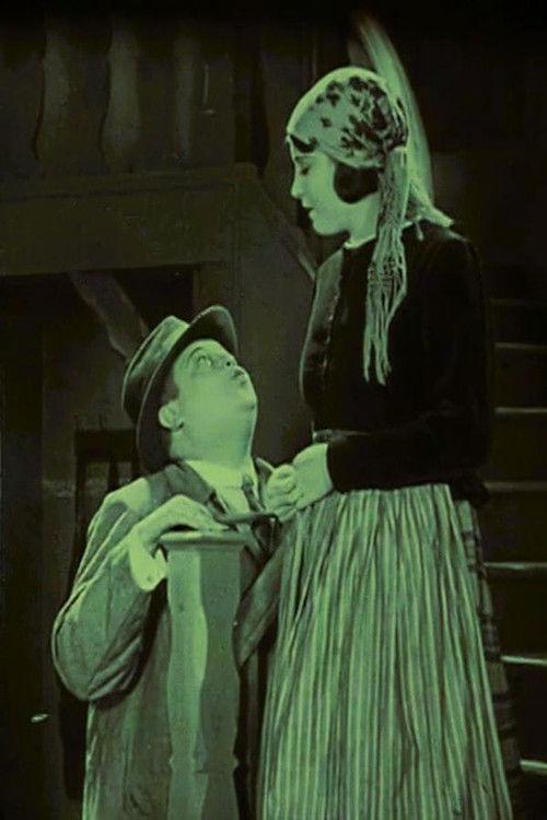 The Girl from Spree Woods 1928 official movie poster