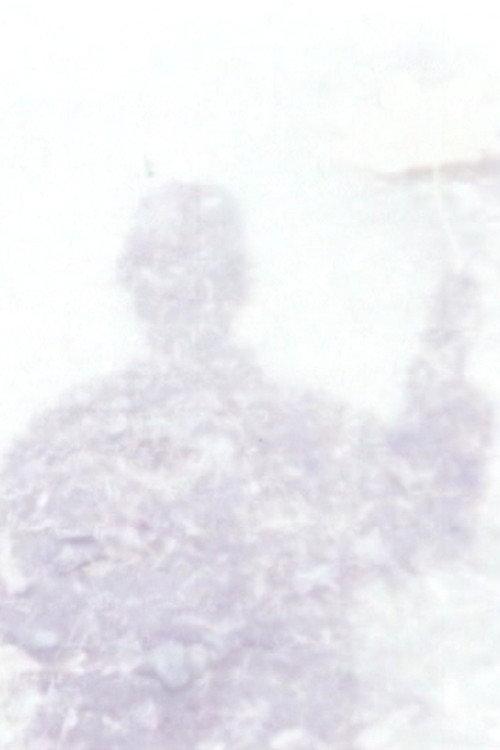 All Alone 1985 official movie poster