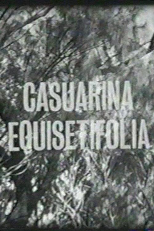 Casuarina Equisetifolia 1963 official movie poster