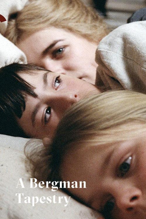 Fanny & Alexander: A Bergman Tapestry 2004 official movie poster