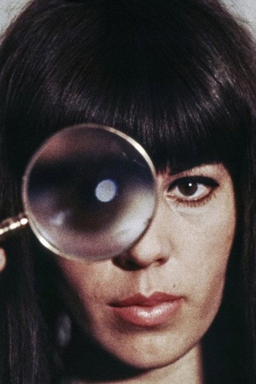 The Portrait 1966 official movie poster