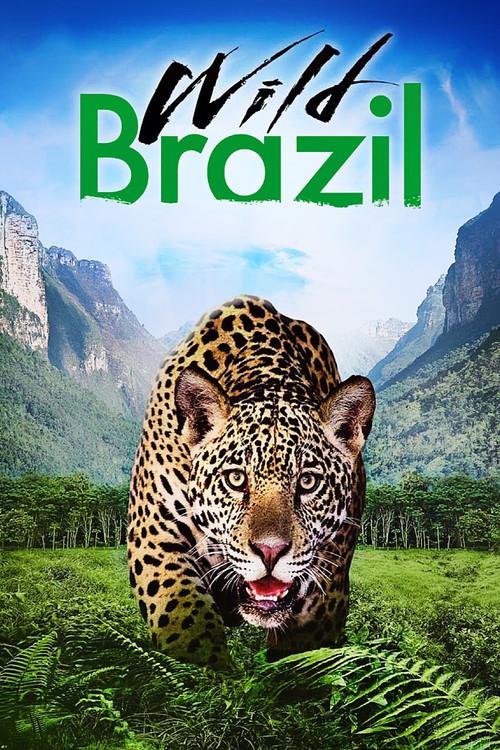 Wild Brazil 2014 official movie poster