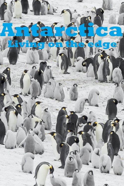 Antarctica - Living on the edge 2016 official movie poster