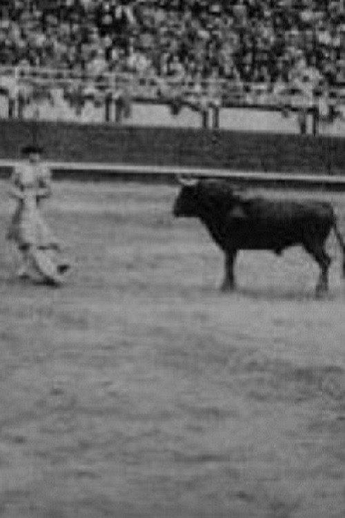 Corrida profesional Plaza Belmonte 1929 official movie poster