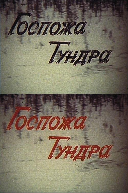 Lady Tundra 1986 official movie poster
