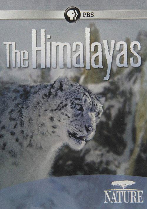 The Himalayas 2011 official movie poster