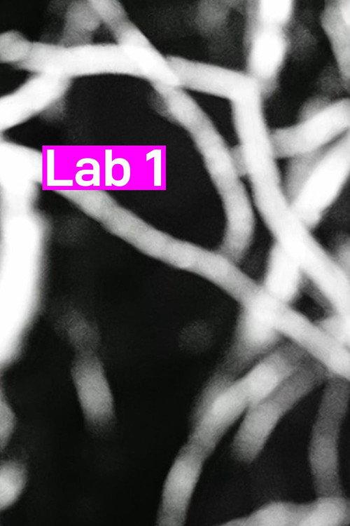 Lab 1 2026 official movie poster