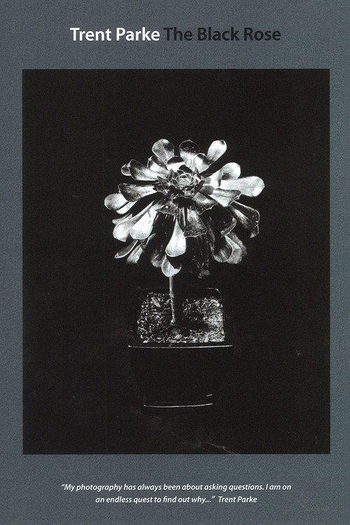 Trent Parke: The Black Rose 2015 official movie poster