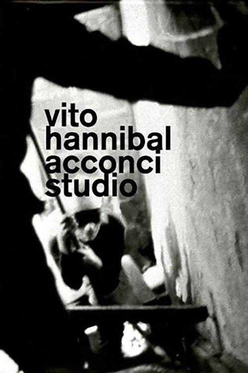 Vito Acconci / Acconci Studio: Interiors. Buildings. Parks. 2004 official movie poster