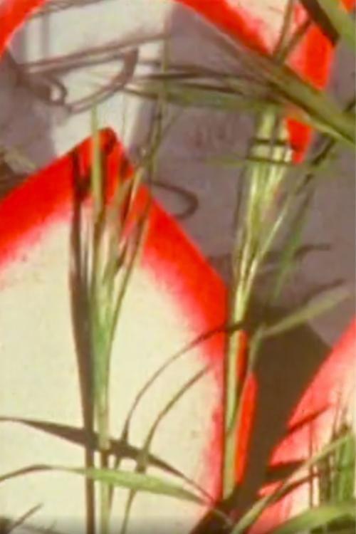 Monodie parsemée 1988 official movie poster