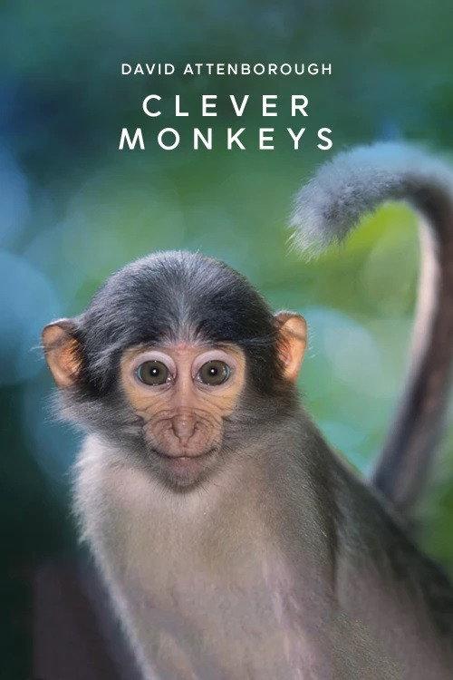 Clever Monkeys 2008 official movie poster