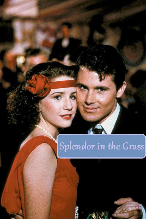 Splendor in the Grass 1981 official movie poster