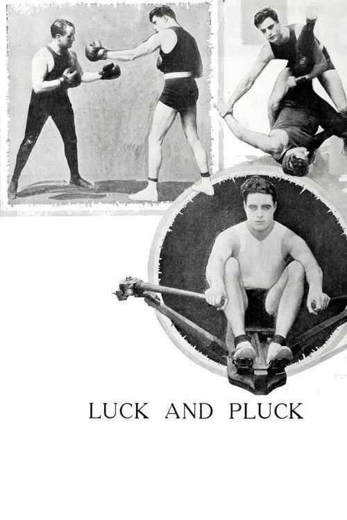 Luck and Pluck 1919 official movie poster